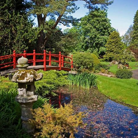 The Curragh Country House Accommodation Newbridge  Exteriör bild