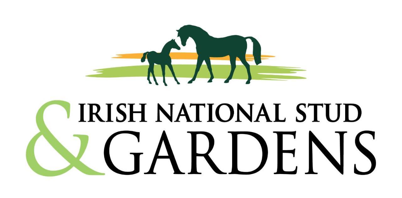 The Curragh Country House Accommodation Newbridge  Exteriör bild