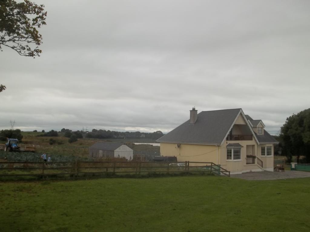 The Curragh Country House Accommodation Newbridge  Exteriör bild