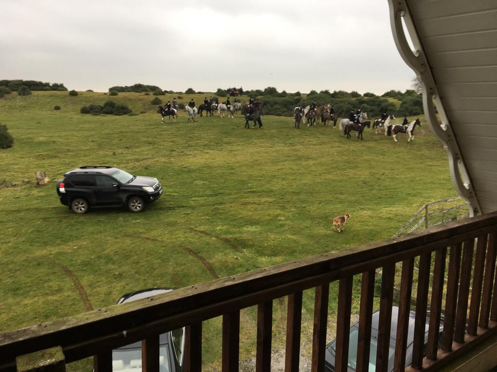 The Curragh Country House Accommodation Newbridge  Exteriör bild