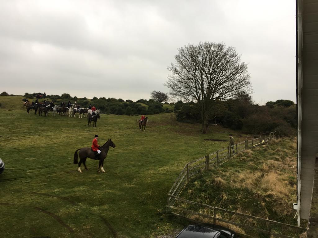 The Curragh Country House Accommodation Newbridge  Exteriör bild